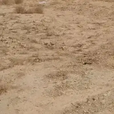 زمین مسکونی زرند خیابان سپاس