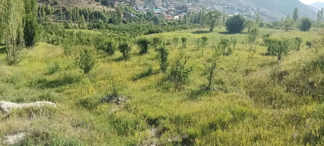 باغ