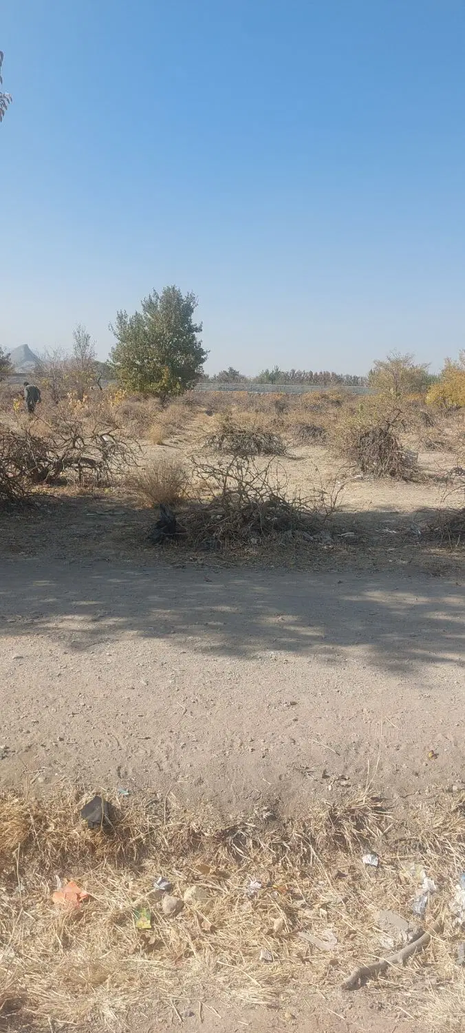 زمین کشاورزی روبرو فولادشهر