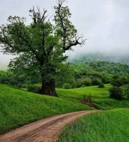 اجاره خانه ویلایی ۱۰۰ متر کریم آباد