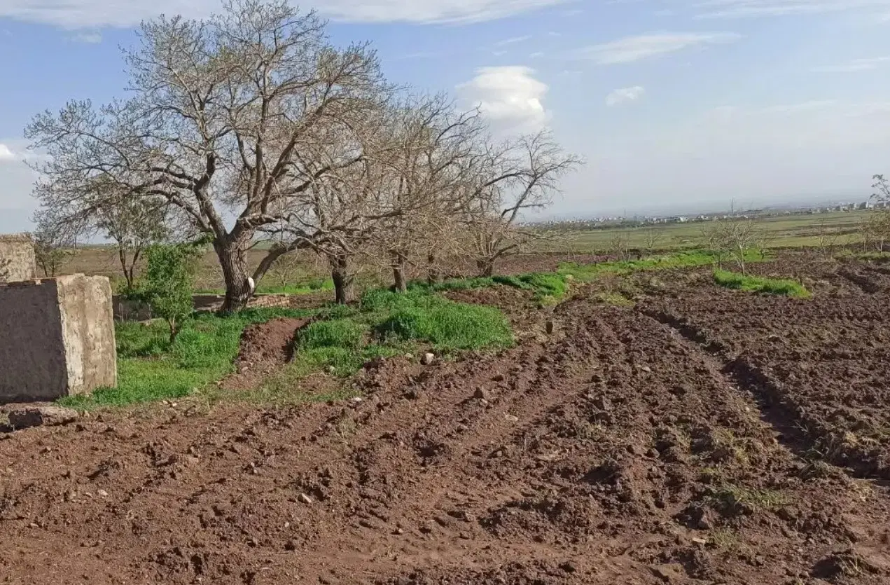 فروش ۸۰۰۰ متر زمین کشاورزی و باغی در شهرری،قلعه‌نو