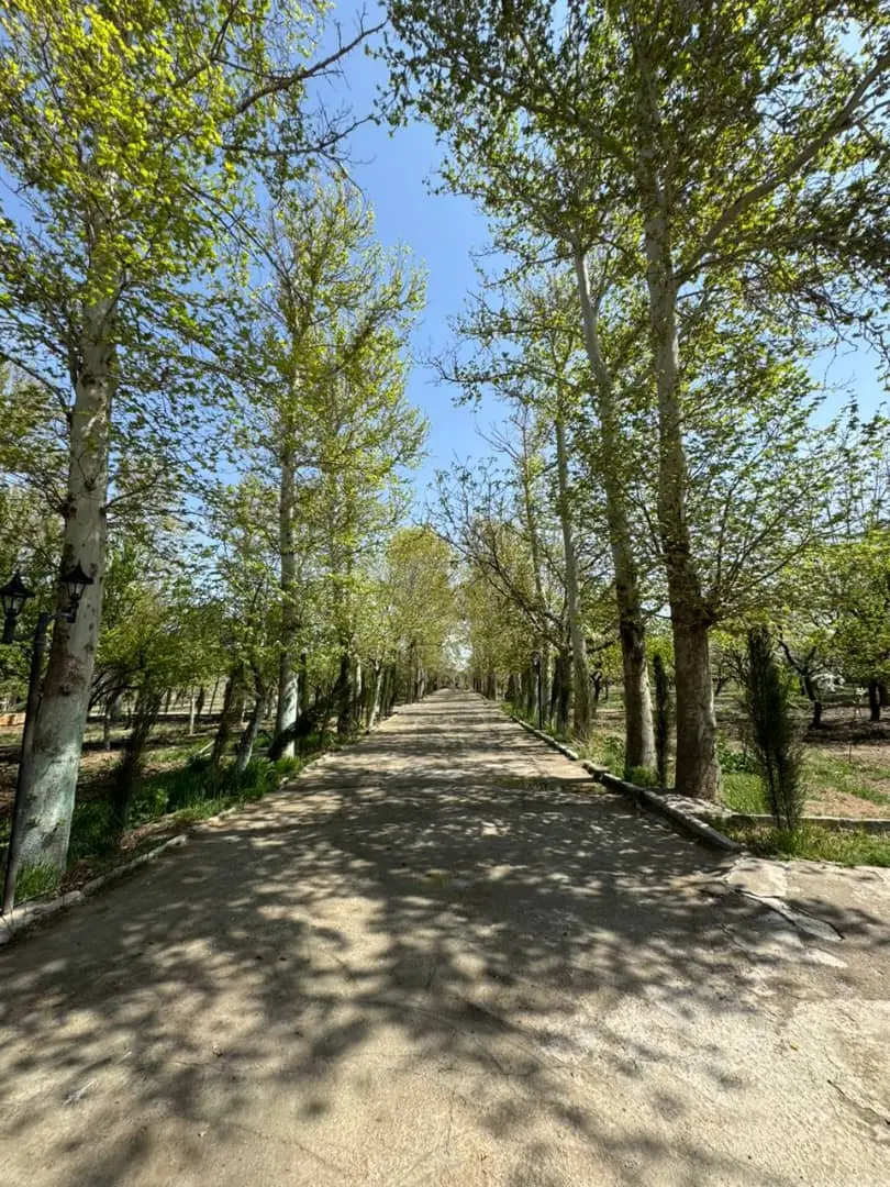 فروش زمین باغی ویلایی