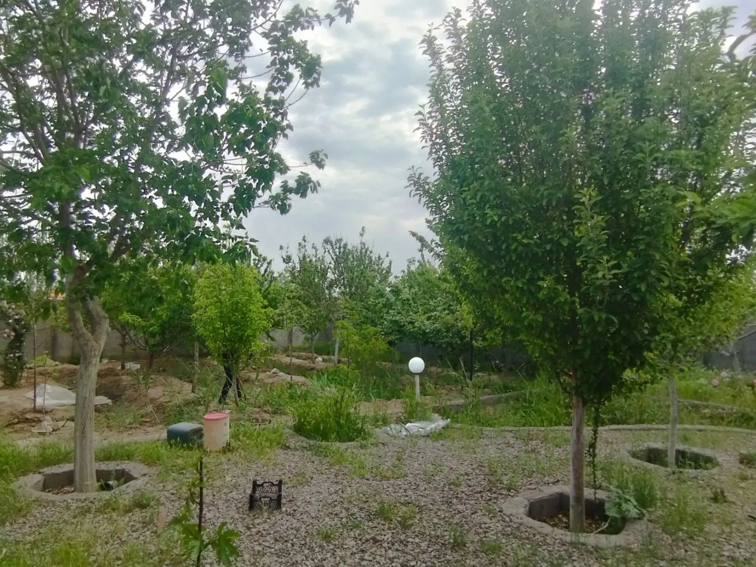باغ حاشیه جاده