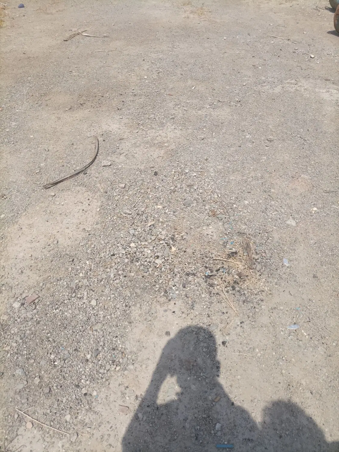 زمین مسکونی