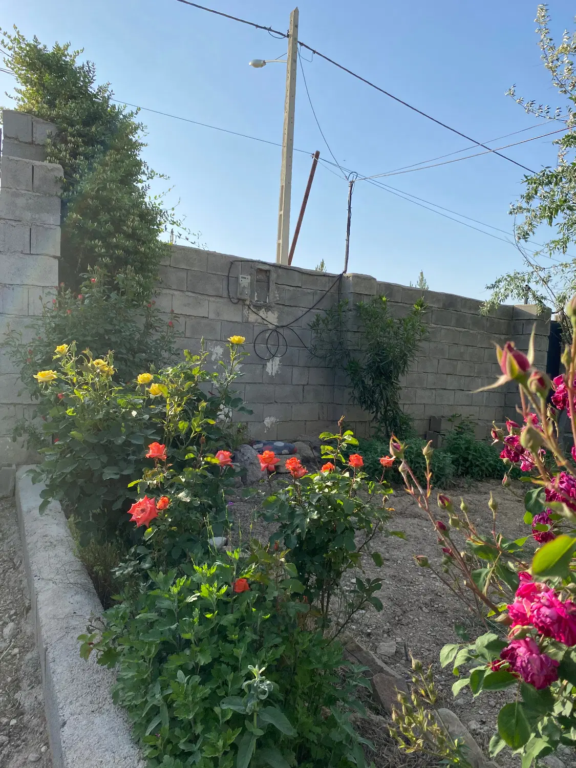 ویلایی ۱۰۰۰متری با دهنه ۳۰