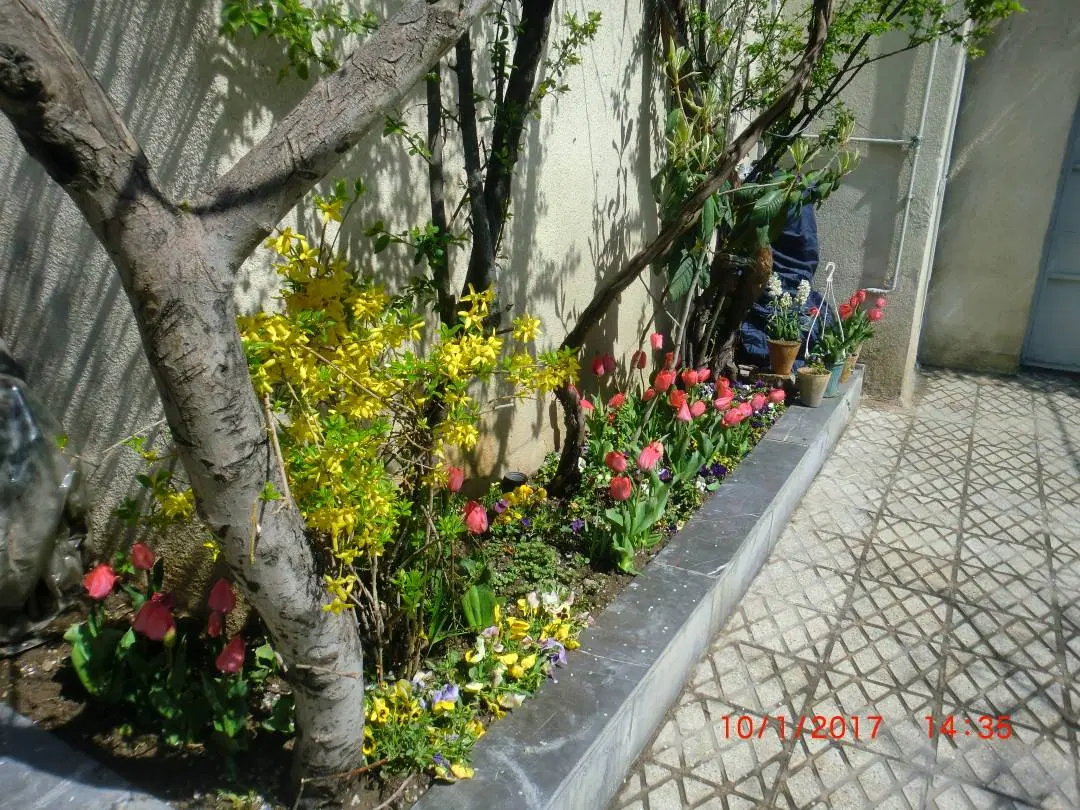 ملک کلنگی