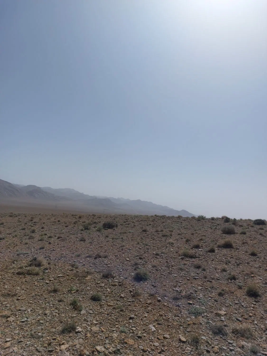 زمین مسکونی ۲۵۰ متری نهضت آباد(شاهدان)
