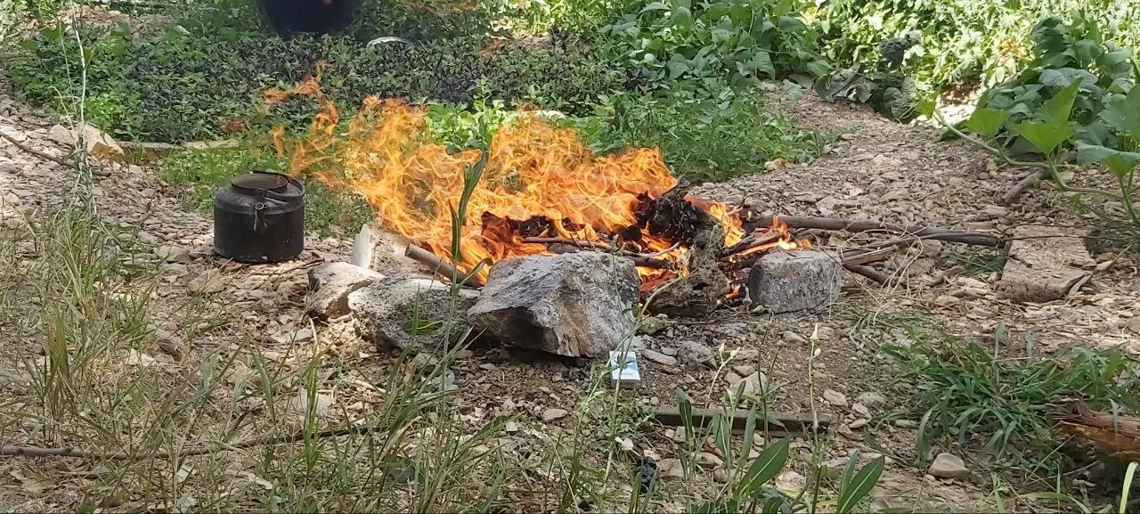زمین باغی