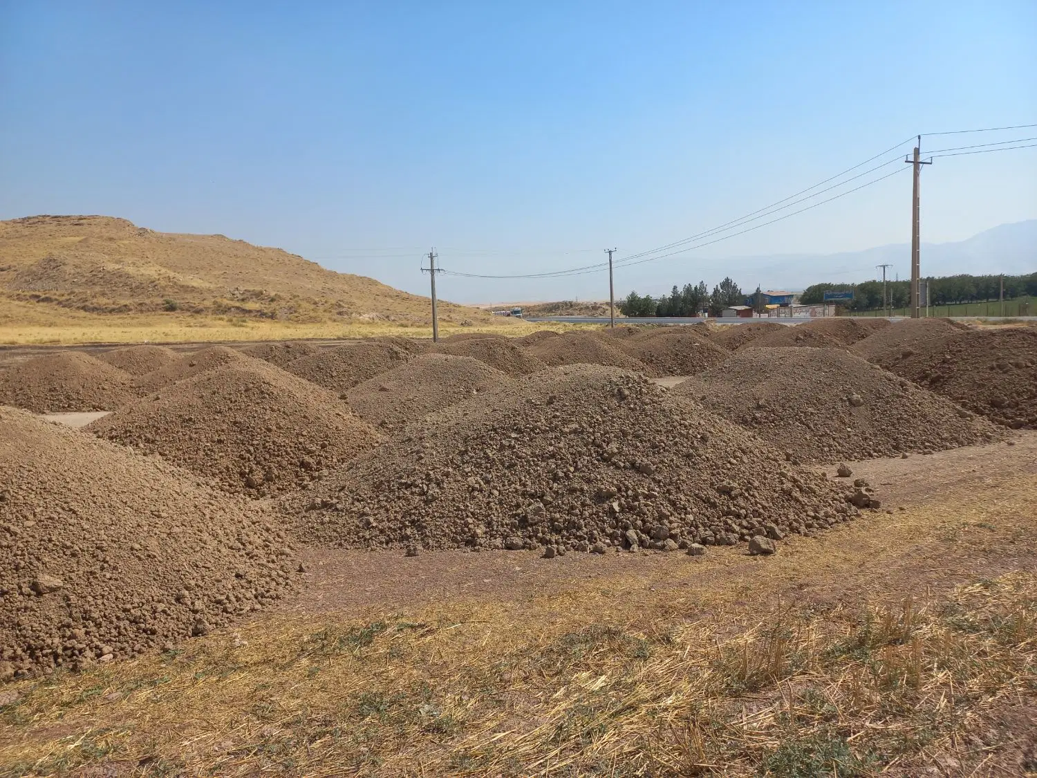 زمین اجاره ای برای کشت خیار گوجه