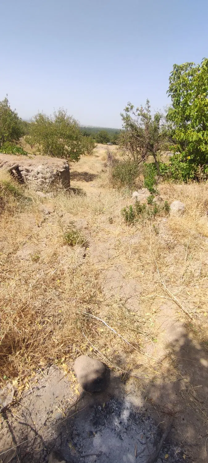 باغ بادام سرسبز  متراژ ۸من محلی