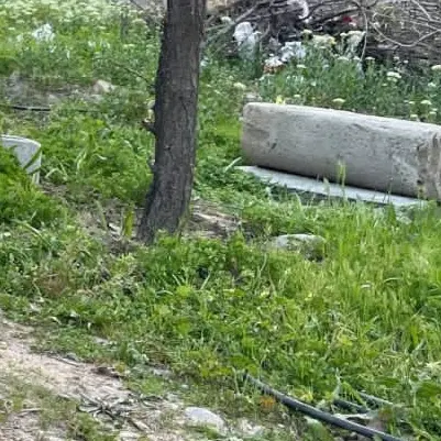 زمین ۱۰۰۰ متری مختار