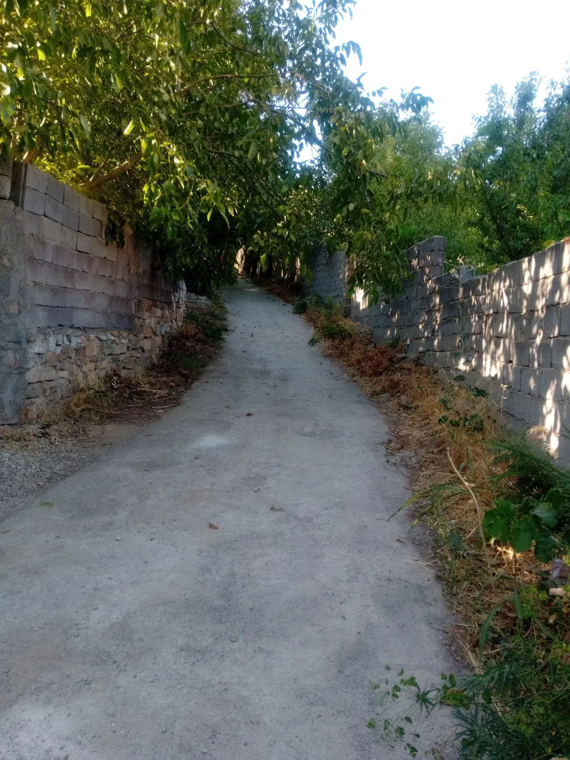 فردش باغ در روستای ترخین آباد ملحمدره