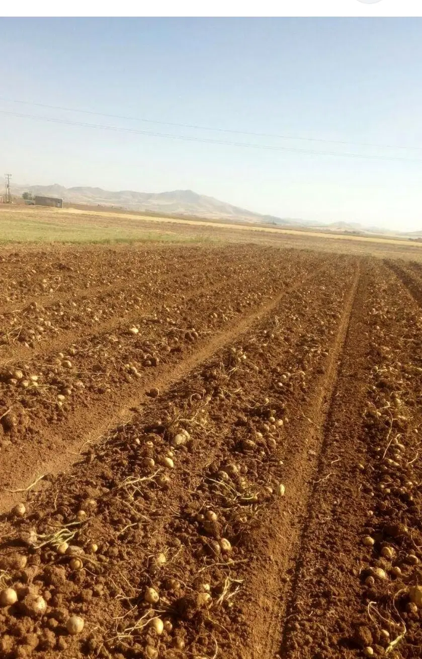 زمین در روستای النجق ۱۲هزارمتر