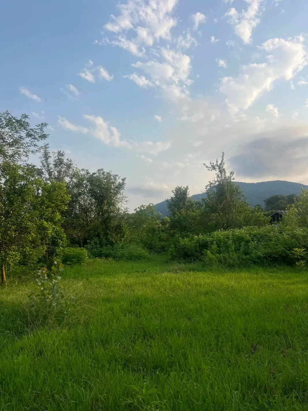 زمین مسکونی با پروانه ساخت