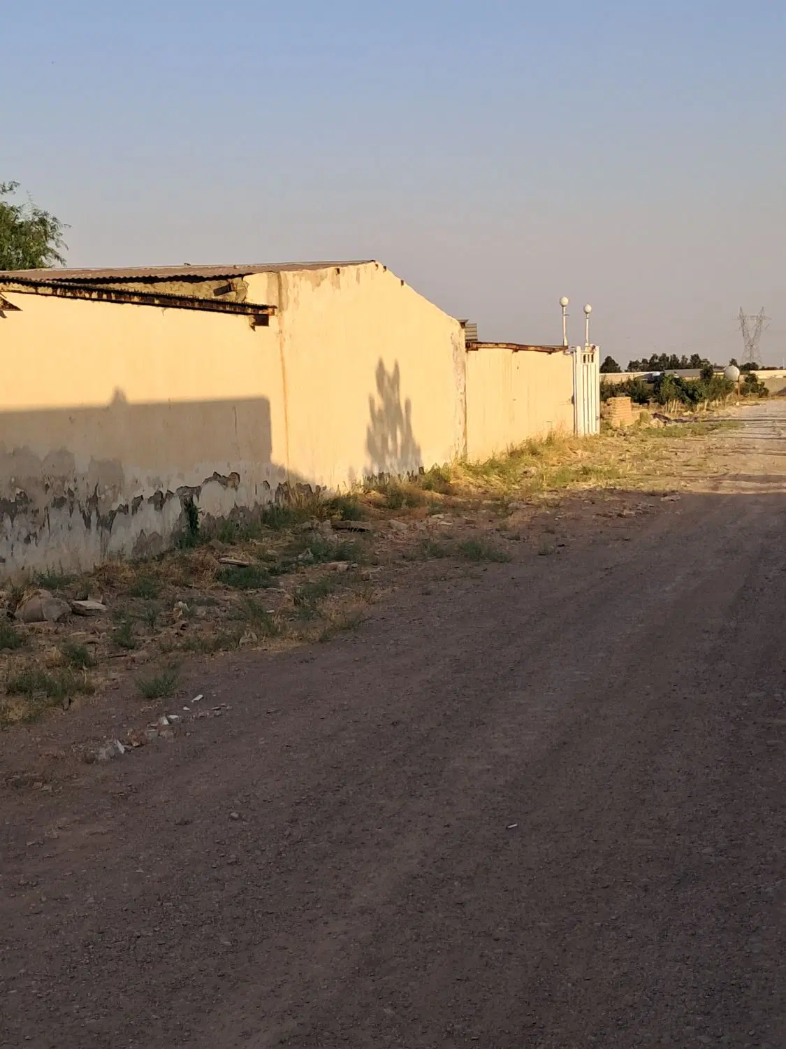 زمین کشاورزی