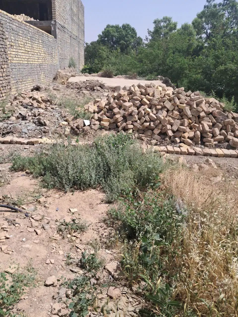زمین فروشی ناجی اباد