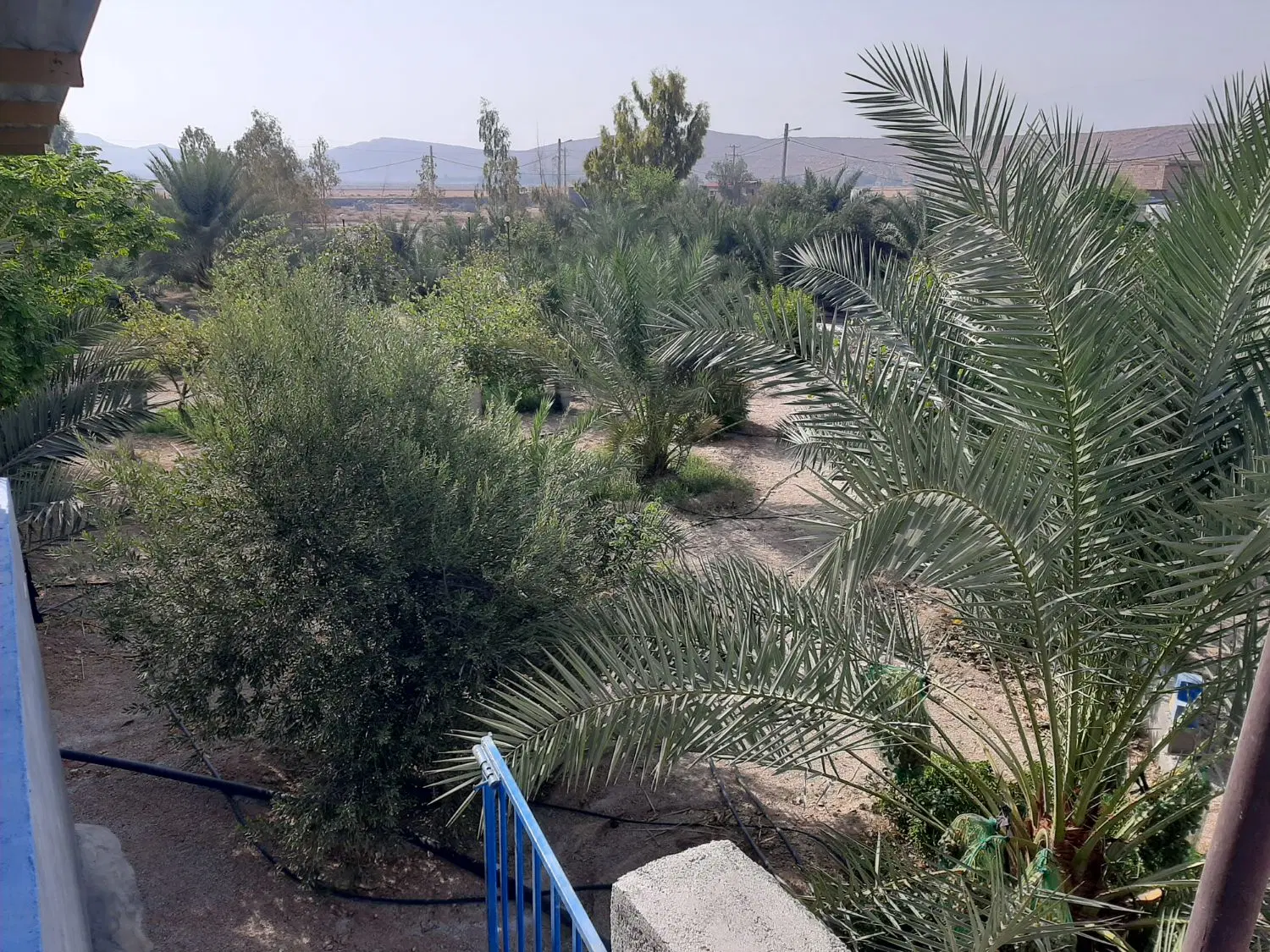 فروش زمین مسکونی
