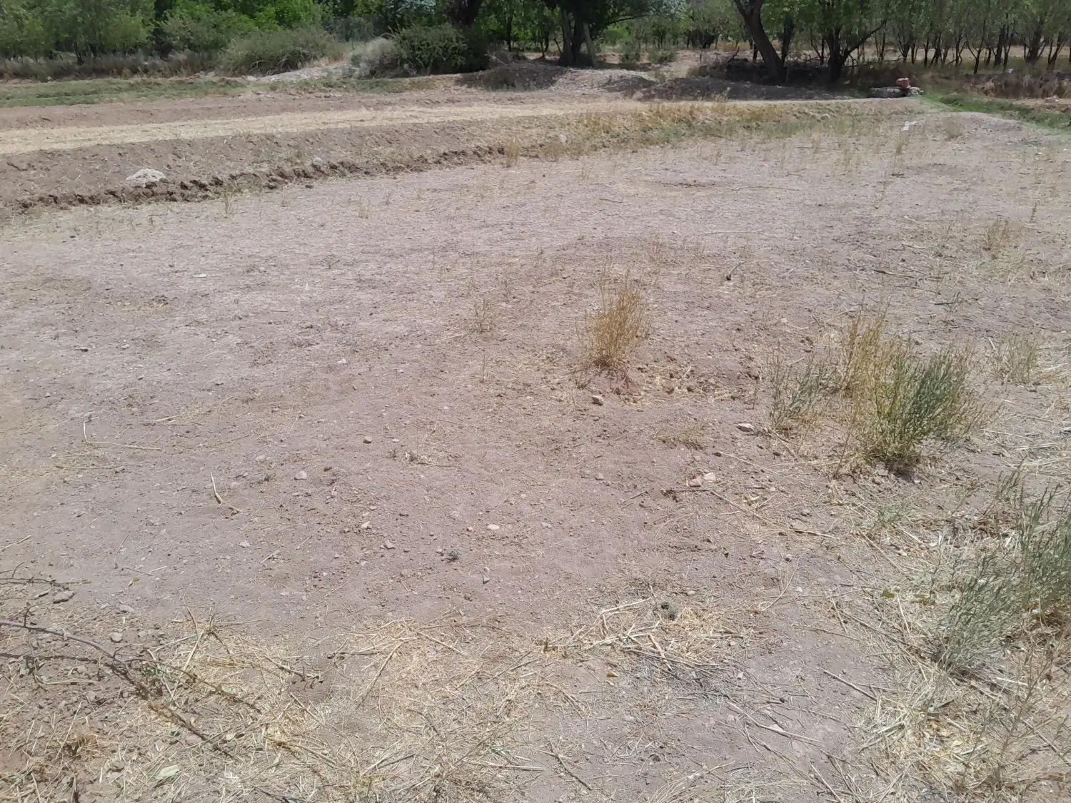 زمین فروشی