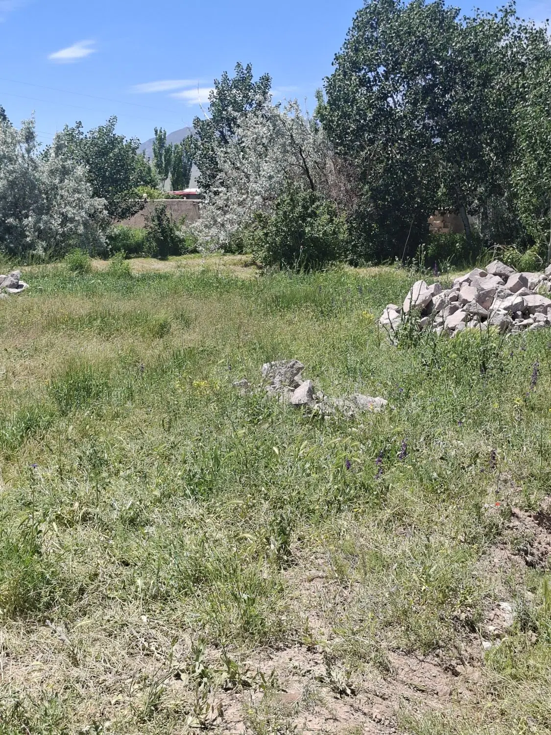 صوفیان میلادسبزقطعه زمین ویلایی۴۵۰مترمعاوضه ماشین