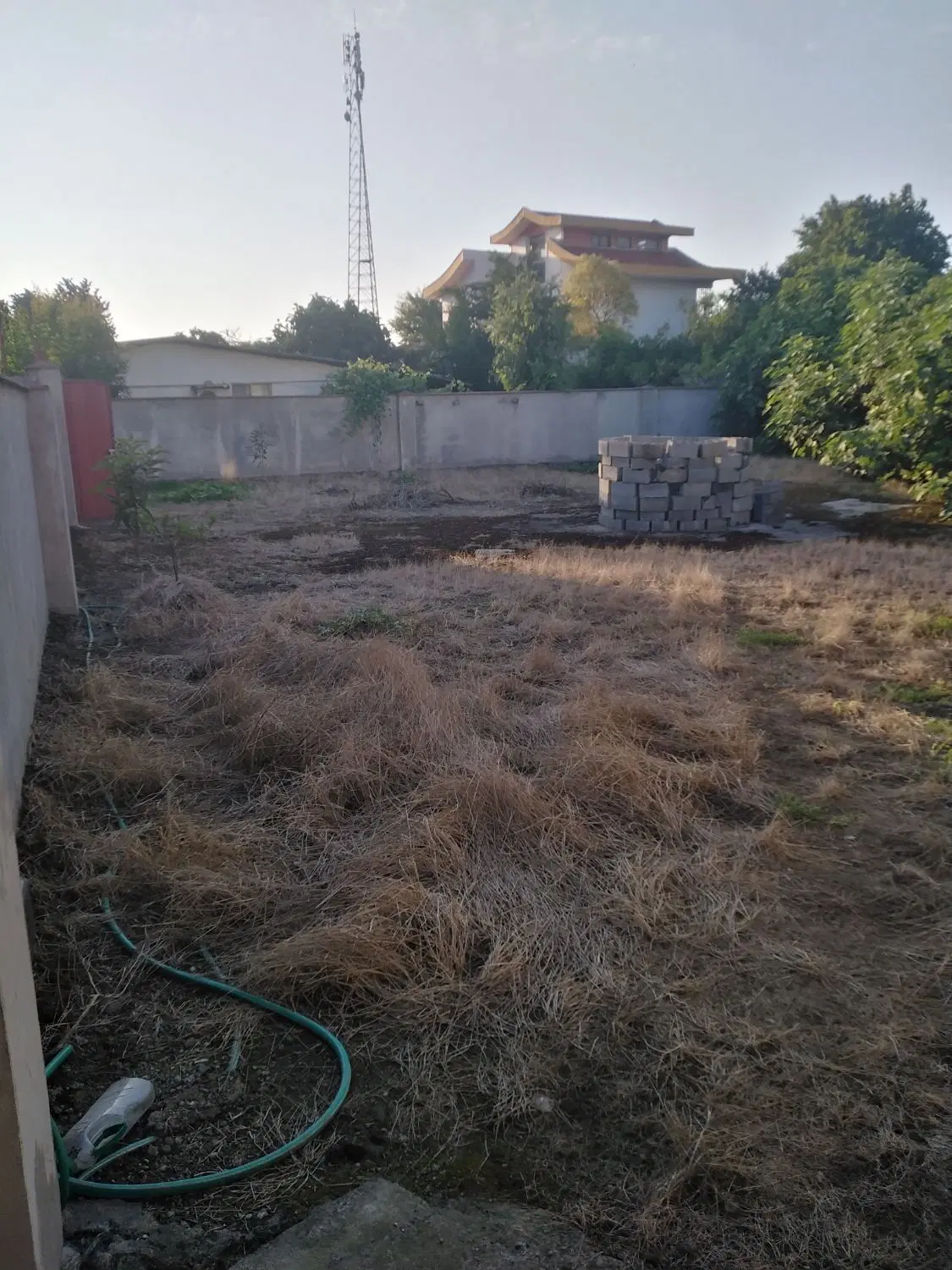 زمین، شمال، مسکونی، سند شش دانگ عرصه عیان