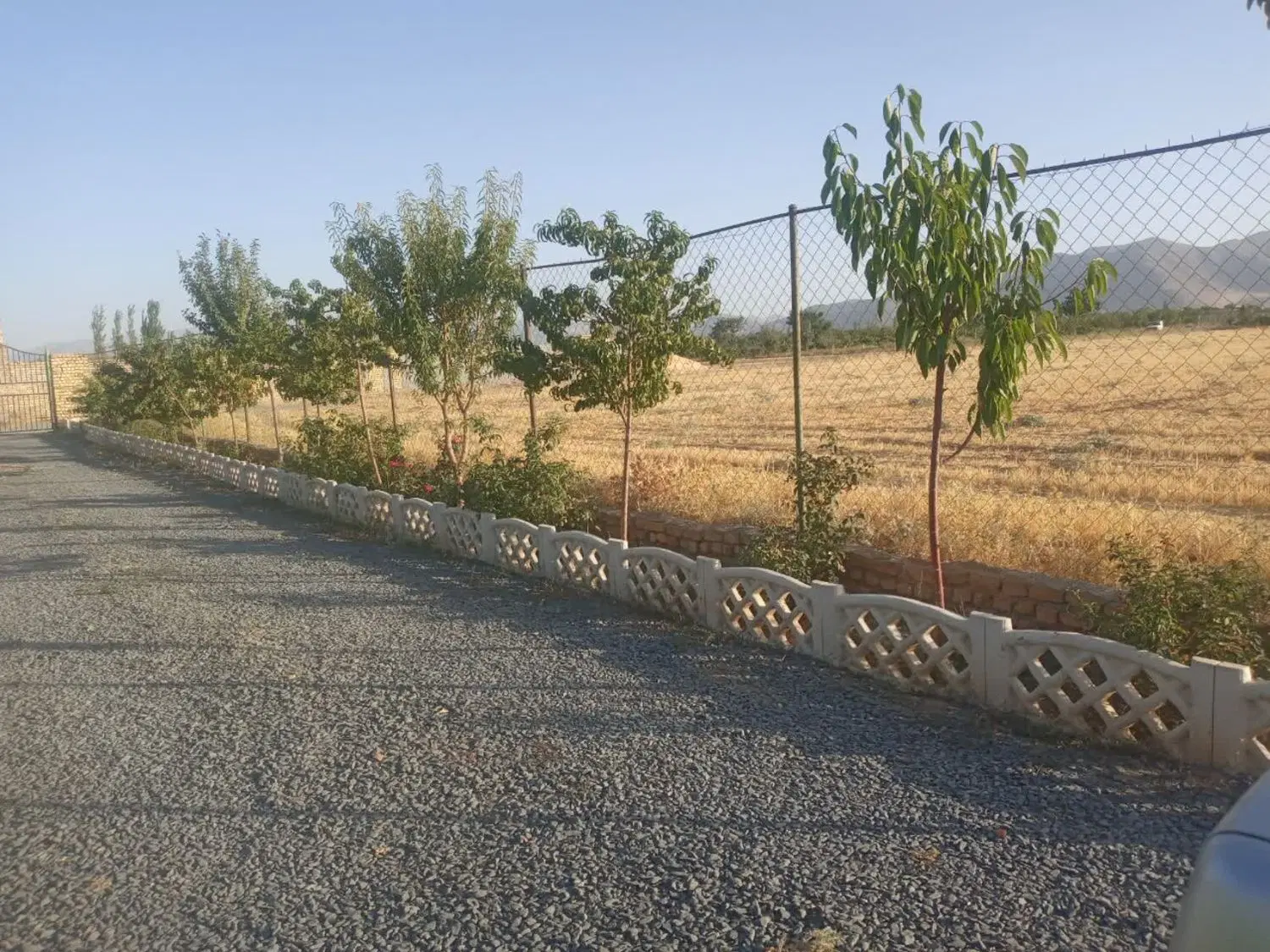 زمین باغی