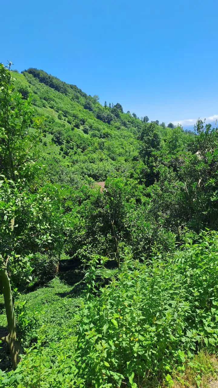 فروش خانه سنتی جای دنج و عالی