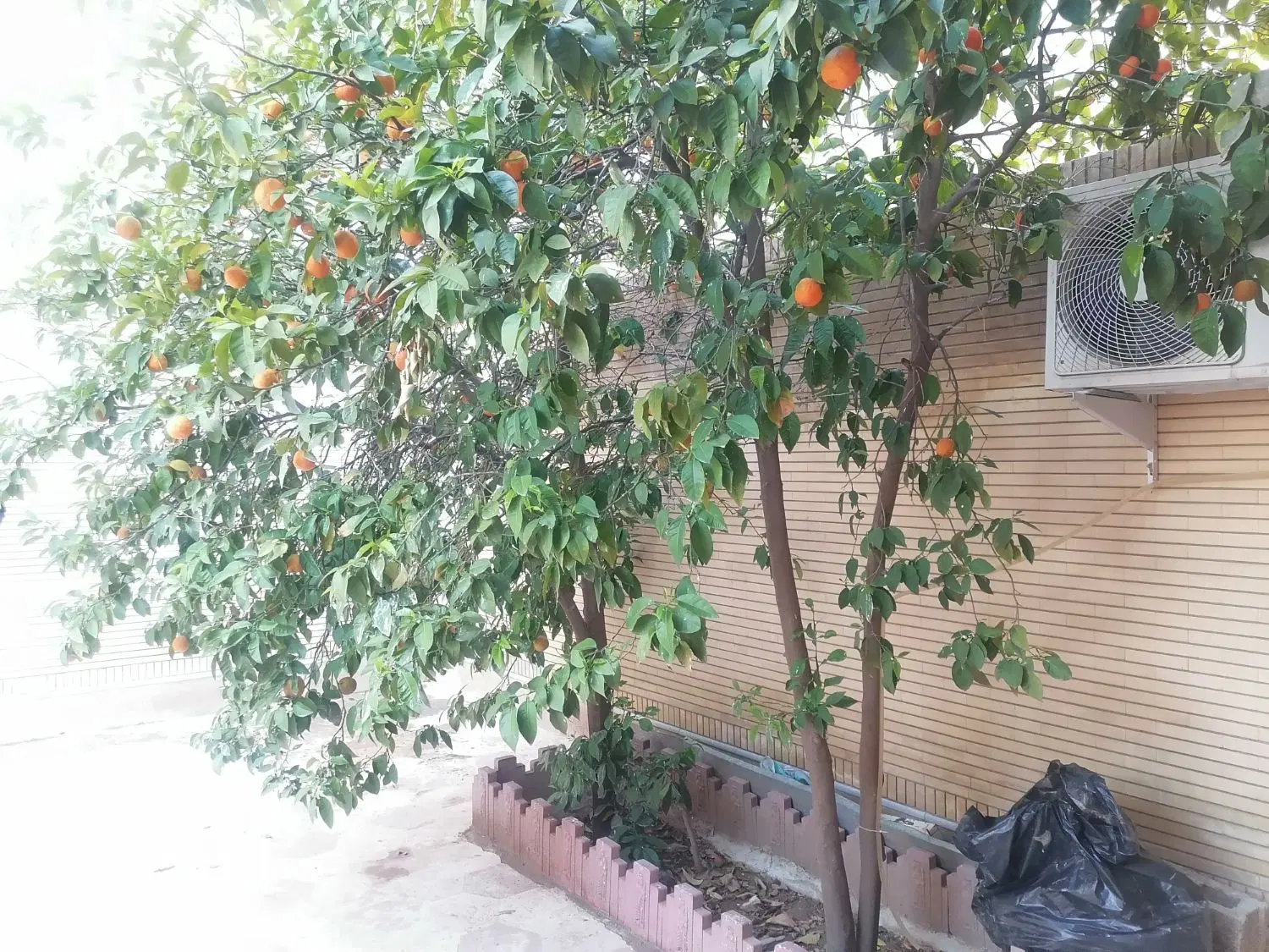 منزل 144 متری درب از حیاط تک طبقه