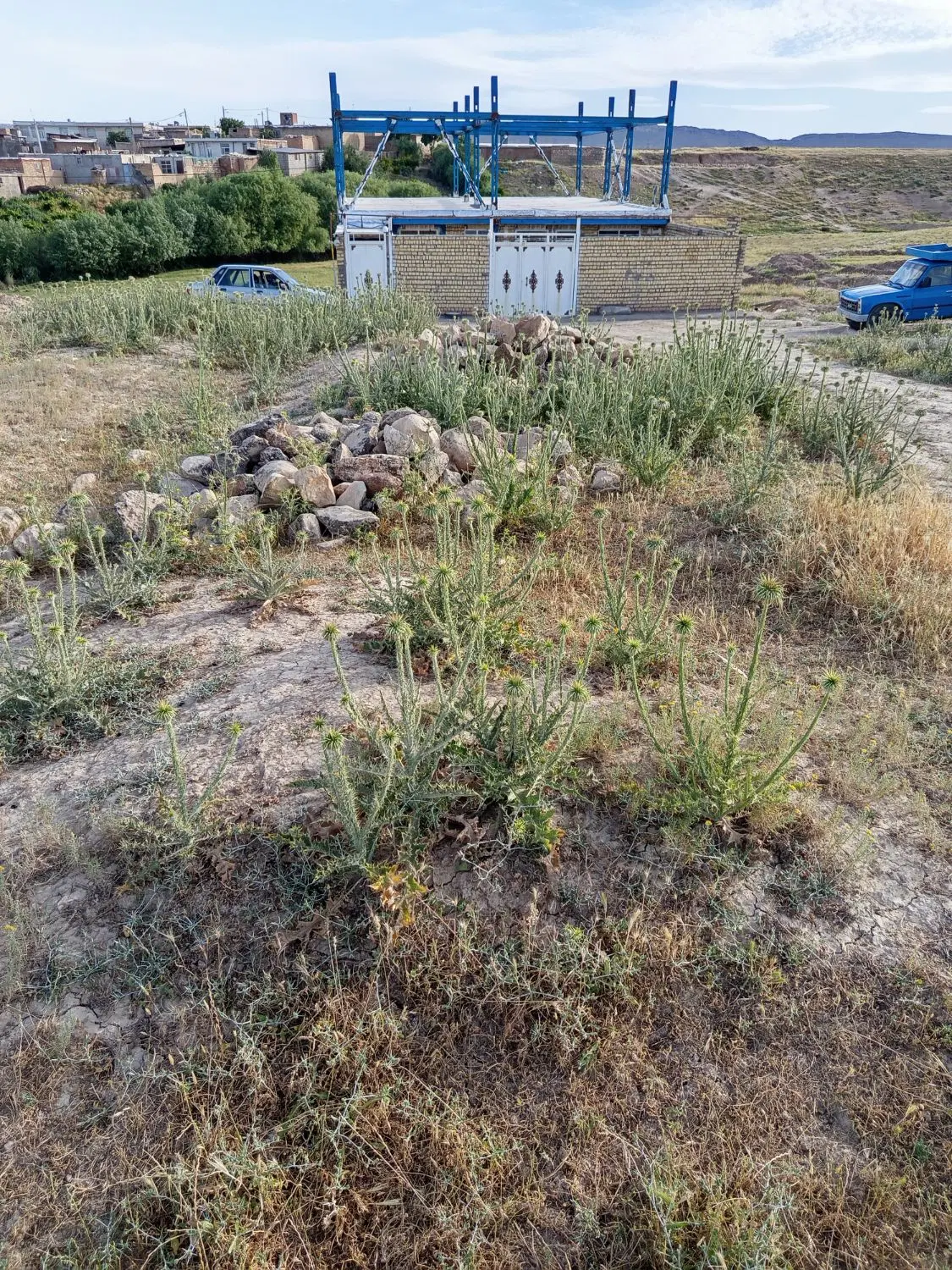زمین مسکونی