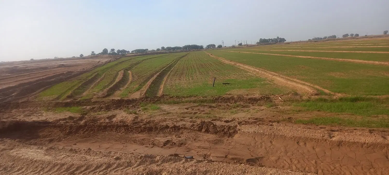 اجاره زمین ۲۰ هکتار