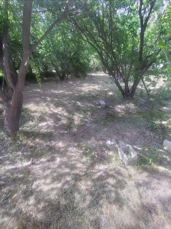 باغ منصوریه
