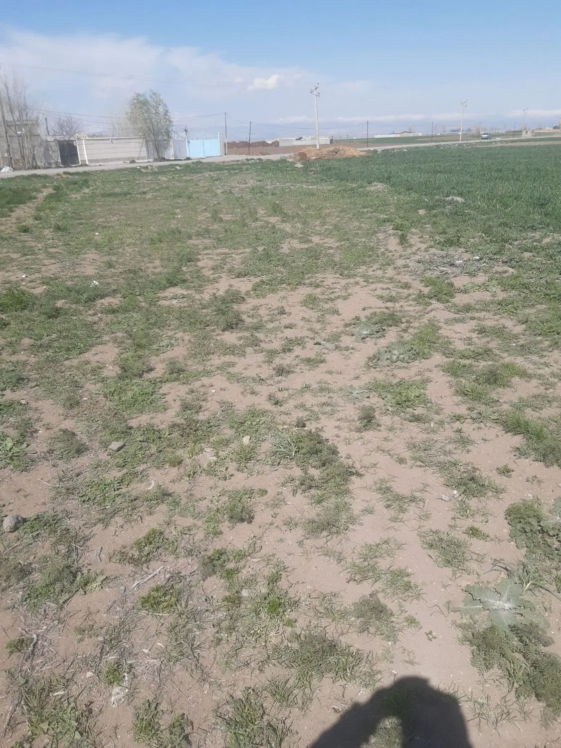 زمین مسکونی بر جاده اصلی روستایی صومعه