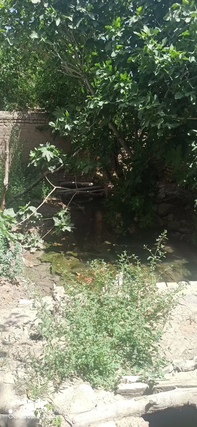 زمین فروشی