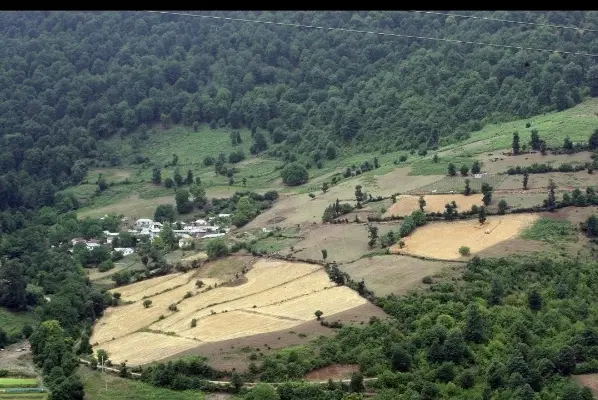 فروش ویژه زمین‌ کشاورزی در خلیل‌آباد مازندران
