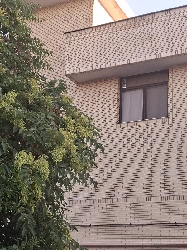 رهن واجاره اپارتمان ۲ خواب