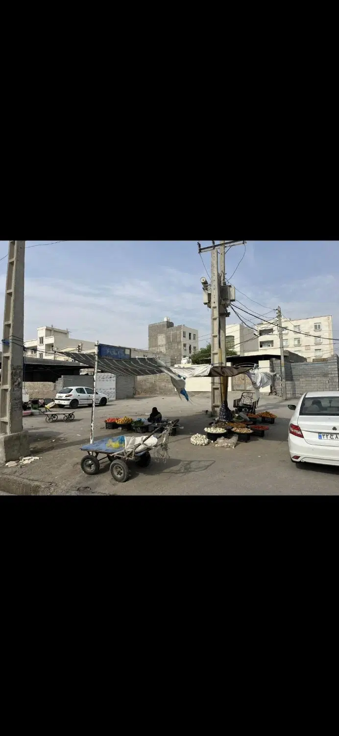 زمین نخل ناخدا سه بر سند تکبرگ موقعیت عالی