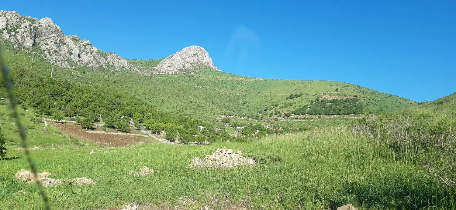 فروش زمین