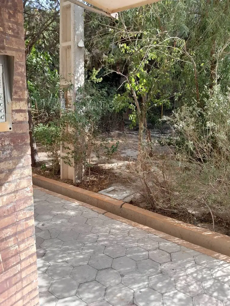 ۶۸ متری سروناز