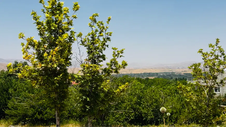 فروش باغ بام سپیدان(سربست)