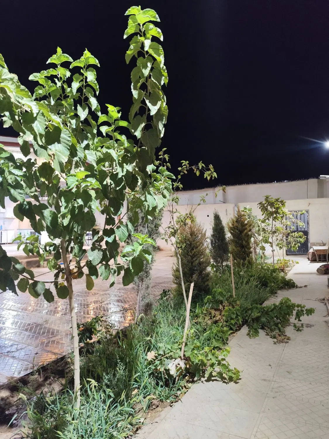 باغچه ، چهار دیواری