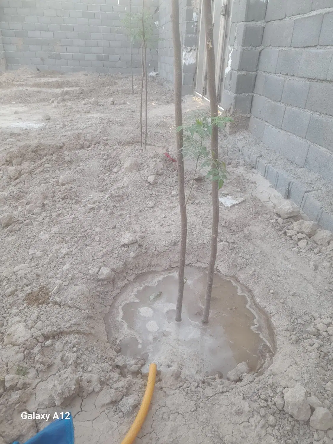 باغچه  ۲۷۰ متری  در جمال اباد پاکدشت