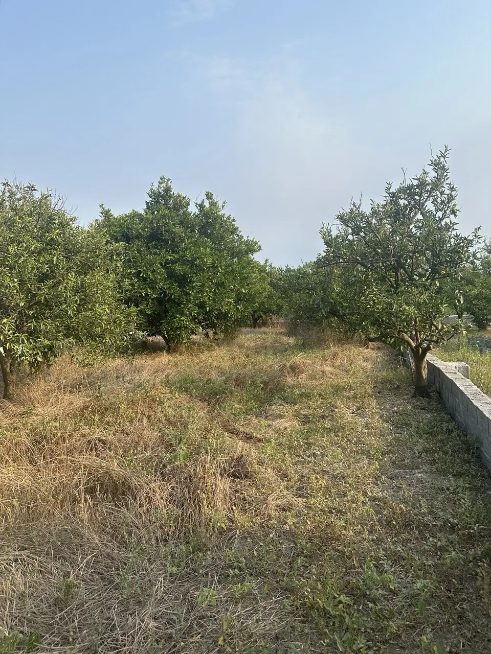 زمین ۲۱۰ متر