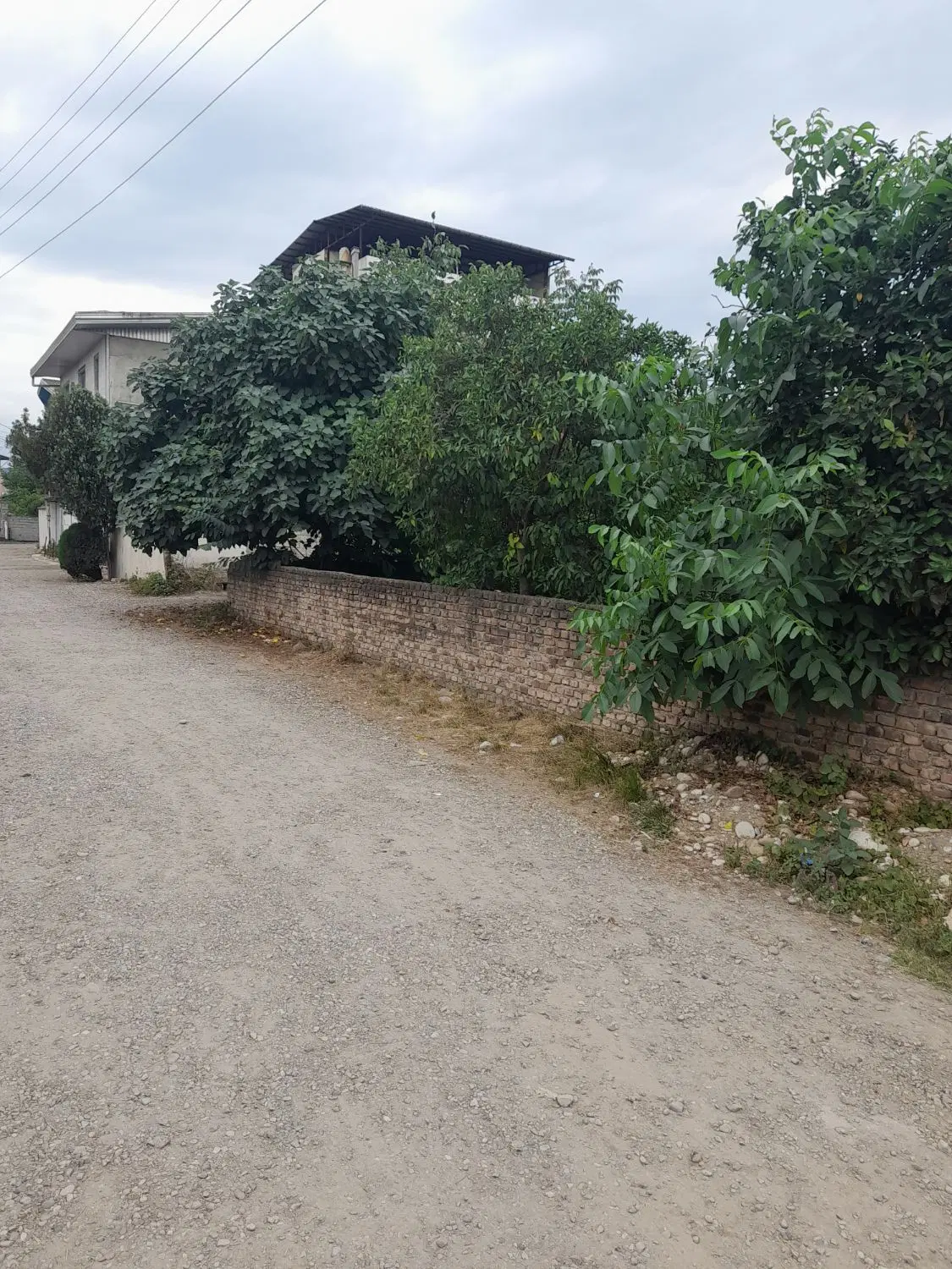 ۲۵۰مسکونی خ تهران البرز ۱۰۳(نهال وثوق(
