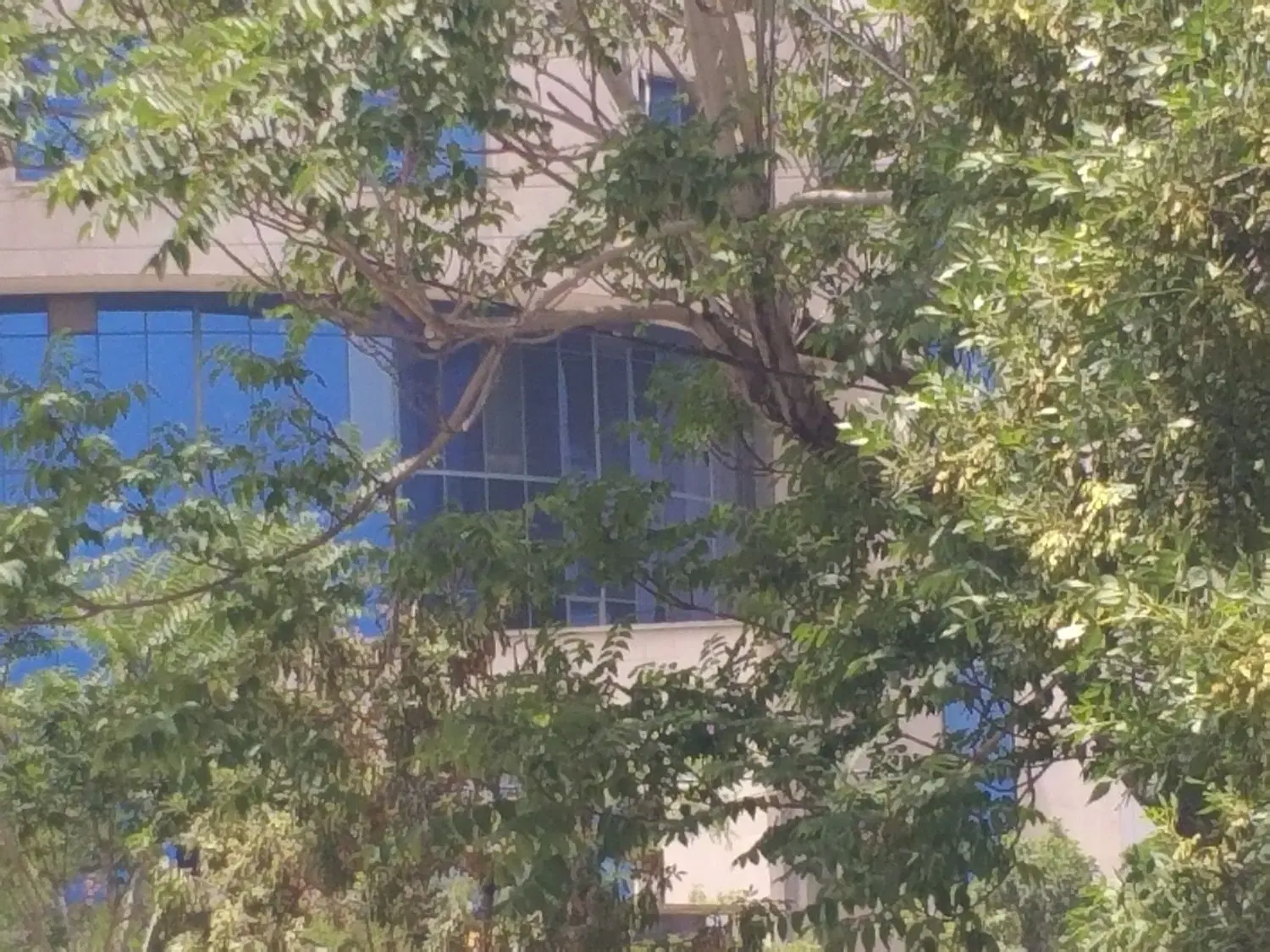 (ویلایی دربستی مستقل)