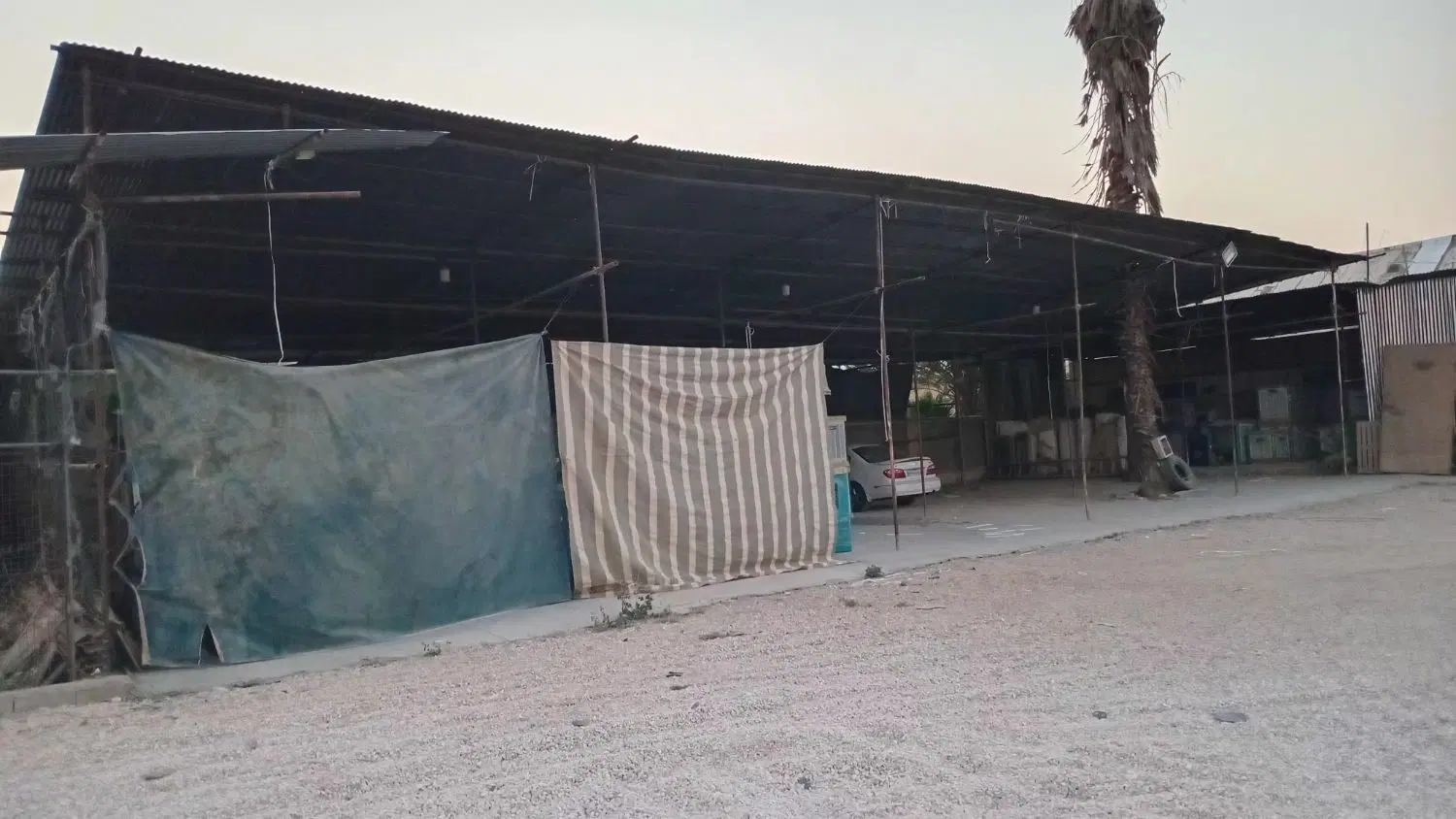 انبار اصلاح نژاد