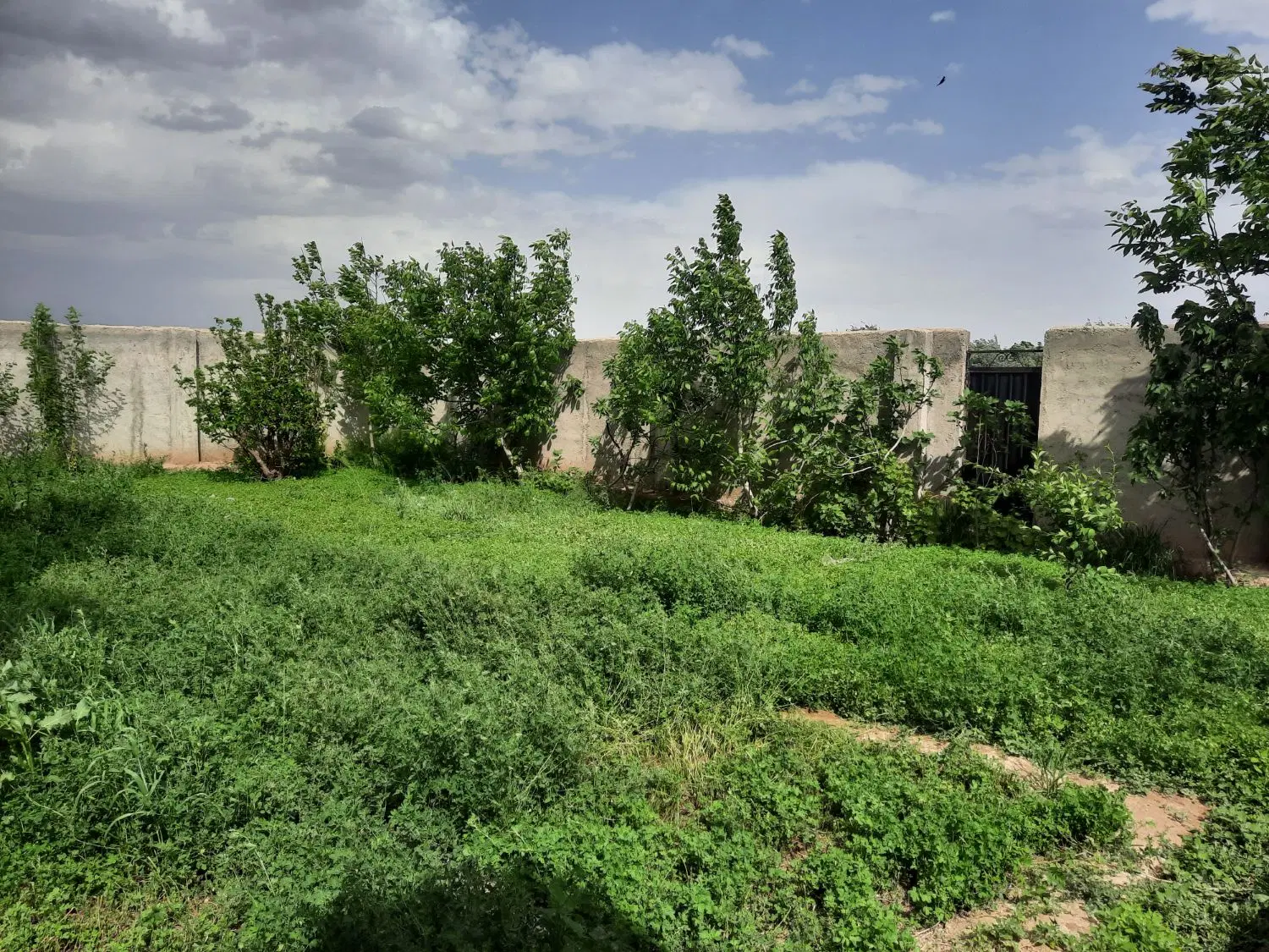 زمین مسکونی نگارستان ۵