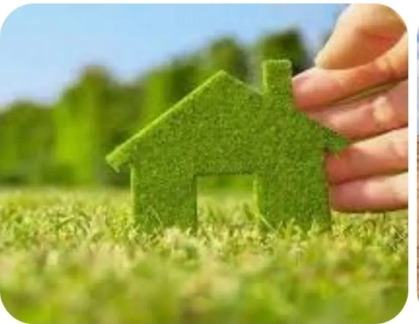 زمین تجاری، باغی