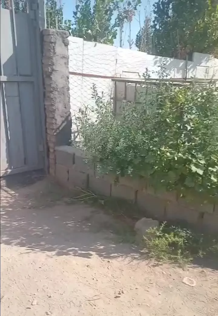 باغچه فروشی  اسفالت تا درب باغ