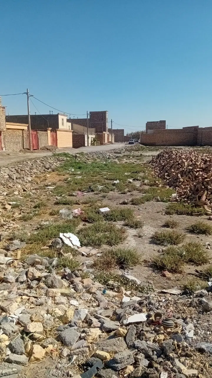 دانشگاه ۲۶