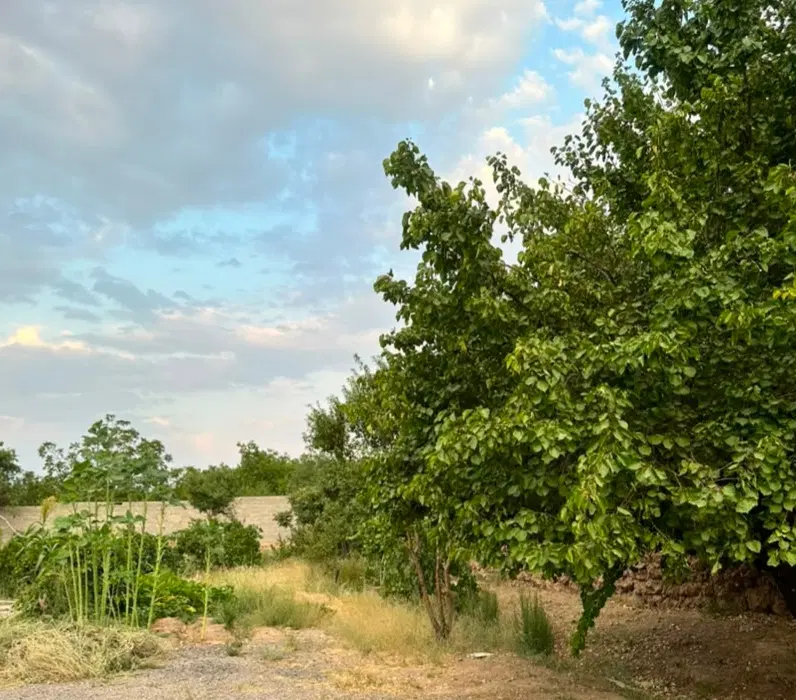 باغ با کاربری مسکونی در جوپار