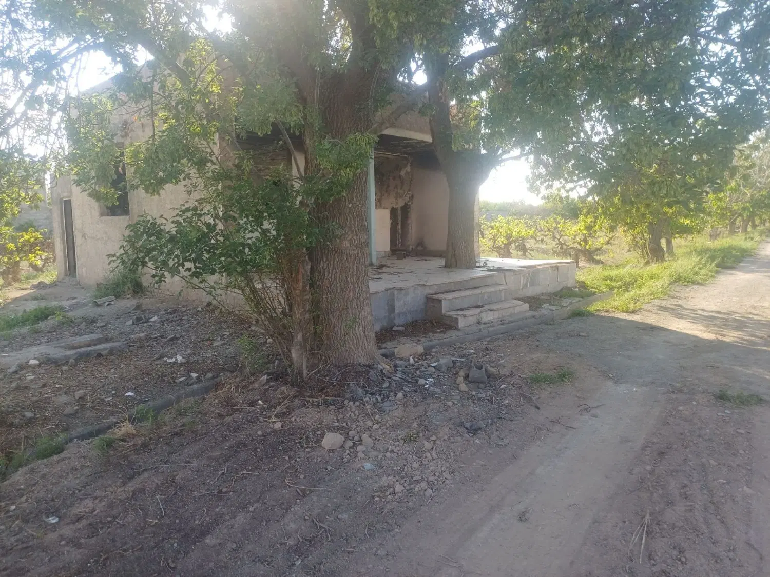 زمین باغی  ۱۹۲متر به بالا سند تک برگ عرصه واعیان